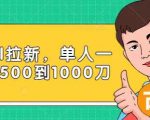 Paypal拉新赚美刀项目,单人一天利润500-1000刀【视频课程】|淘骐网赚资源库