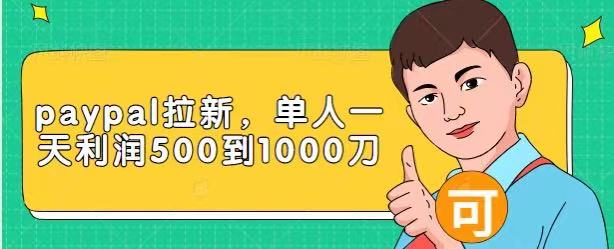 Paypal拉新赚美刀项目，单人一天利润500-1000刀【视频课程】|淘骐网赚资源库