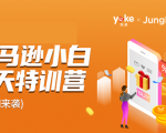 雨课·亚马逊小白特训营第9期 跨境电商挺赚钱的 有朋友已经月入几十万美金|淘骐网赚资源库