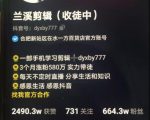 兰溪抖音混剪:一部手机学习剪辑,3个月涨粉580万|淘骐网赚资源库