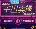 官网售价3980元的数据哥-千川实操进阶课【进阶版】 非基础版|淘骐网赚资源库