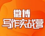 村西边老王·微博超级写作实战营,帮助你粉丝猛涨价值999元|淘骐网赚资源库