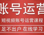 短视频账号运营课程:从话术到短视频运营再到直播带货全流程,新人快速入门|淘骐网赚资源库