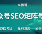 高鹏圈公众号SEO矩阵号群，实操20天纯收益25000+，普通人都能做|淘骐网赚资源库