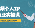 短视频个人IP商业实操课,百万粉丝实战方法分享,小白也能实现流量变现|淘骐网赚资源库
