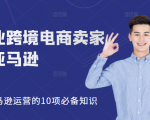 职业跨境电商卖家聊亚马逊:亚马逊运营的10项必备知识,12堂课让你看懂亚马逊运营|淘骐网赚资源库