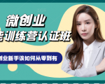 微创业全能训练营认证班课程,从理论知识与实际案例手把手指导创业新手如何从零到有|淘骐网赚资源库