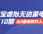 淘宝虚拟无货源电商第10期:从0基础到月入N万,全程实操,可批量操作|淘骐网赚资源库