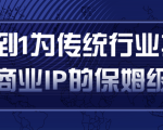 从0到1为传统行业打造抖音商业IP简单高效的保姆级攻略|淘骐网赚资源库