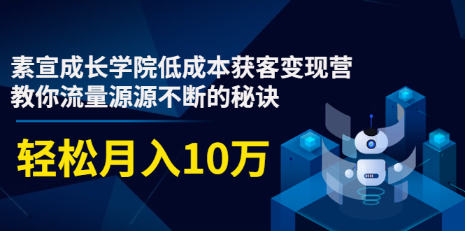 素宣成长学院低成本获客变现营,教你流量源源不断的秘诀,轻松月入10万|淘骐网赚资源库