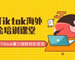 最新Tiktok海外掘金培训课堂:带你玩转Tiktok暴力涨粉轻松变现|淘骐网赚资源库