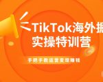 TikTok海外掘金实操特训营:手把手教运营变现赚钱|淘骐网赚资源库