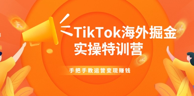 TikTok海外掘金实操特训营：手把手教运营变现赚钱|淘骐网赚资源库
