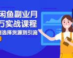 2021闲鱼副业月入过万实战课程:从开店到选择货源到引流,全程实战教学|淘骐网赚资源库