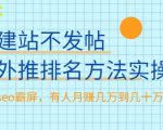 不建站不发帖做外推排名方法实操,持久seo霸屏,有人月赚几万到几十万|淘骐网赚资源库