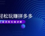 带你轻松玩赚拼多多:花的少 赚的多 爆款更简单 爆款打造流程实操讲解|淘骐网赚资源库