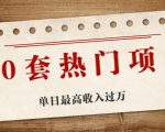 30套热门项目:单日最高收入过万 (网赚项目、朋友圈、涨粉套路、抖音、快手)等|淘骐网赚资源库
