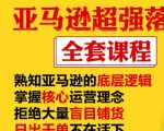 亚马逊超强落地实操全案课程:拒绝大量盲目铺货,日出千单不在话下|淘骐网赚资源库