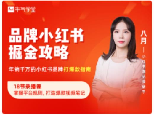 品牌小红书掘金攻略,年销千万的小红书品牌打爆款指南|淘骐网赚资源库