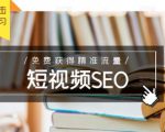 未来新趋势,布局短视频SEO,如何利用抖音SEO免费获得精准流量(3节课)|淘骐网赚资源库