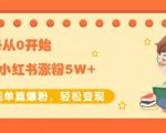 生财小红书涨粉变现:新账号从0开始3个月小红书涨粉5W+实现单篇爆粉|淘骐网赚资源库