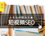 未来新趋势,布局短视频SEO,如何利用抖音SEO免费获得精准流量(3节课)|淘骐网赚资源库