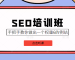 SEO培训班课程,手把手教你做出一个权重6的例站,价值8000元|淘骐网赚资源库