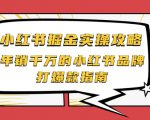 小红书掘金实操攻略,年销千万的小红书品牌打爆款指南|淘骐网赚资源库