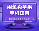 闲鱼卖苹果手机项目，教你闲鱼卖货月入上万|淘骐网赚资源库