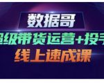 数据哥·超级带货运营+投手线上速成课,快速提升运营和熟悉学会投手技巧|淘骐网赚资源库