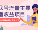 公众号流量主暴利撸收益项目，空闲时间操作单人月入过万|淘骐网赚资源库