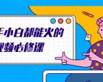 新手小白都能火的短视频必修课,教你三天就能上热门的短视频IP技术|淘骐网赚资源库