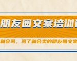 朋友圈文案培训课,听了就会写,写了就会卖的朋友圈文案课|淘骐网赚资源库