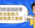 文案实操训练营，只说话就能火的短视频文案课|淘骐网赚资源库