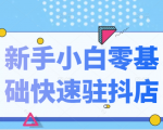抖音小店新手小白零基础快速入驻抖店100%开通(全套11节课程)|淘骐网赚资源库