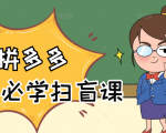 拼多多商家开店入门必学，0基础新手小白扫盲课（58节视频课程）|淘骐网赚资源库