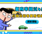 复购率超过45%,小商业获客复购训练营进阶课程|淘骐网赚资源库