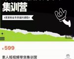 夜草与千里马素人短视频带货集训营,薛辉团队价值599|淘骐网赚资源库