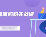 百度贴吧引流宝妈粉实战课,小白也可以日引100+精准粉|淘骐网赚资源库