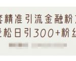 1套精准引流金融粉方法,轻松日引300+粉丝|淘骐网赚资源库