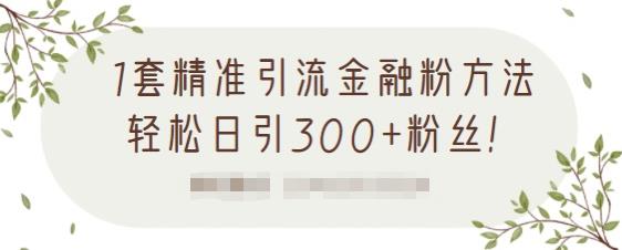 1套精准引流金融粉方法,轻松日引300+粉丝|淘骐网赚资源库