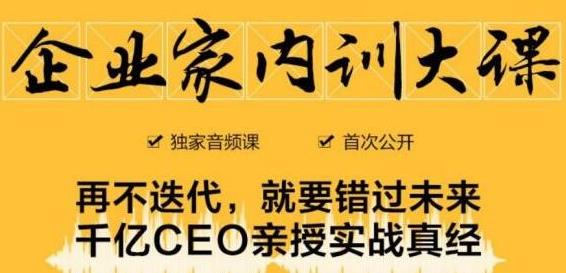 企业家内训大课，未来企业必学经验，价值1299元|淘骐网赚资源库