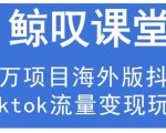 鲸叹号·海外TIKTOK训练营，百万项目海外版抖音tiktok流量变现玩法|淘骐网赚资源库