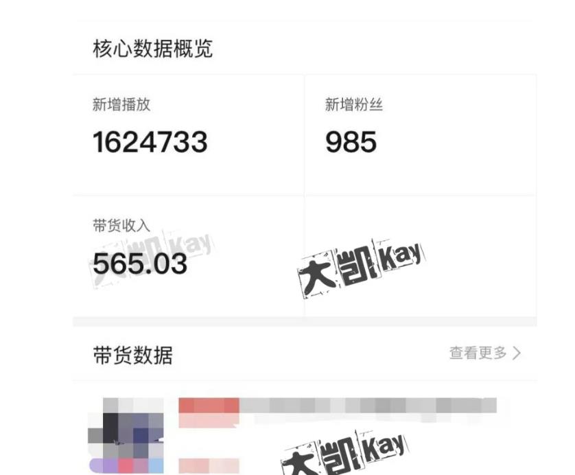 大凯进阶圈新玩法之拼多多视频玩法,利润大概一个号一天能有500~1500的左右!|淘骐网赚资源库
