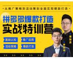 玺承云·拼多多爆款打造实战特训营,一套从入门到高手课程,让你快速拿捏拼多多|淘骐网赚资源库