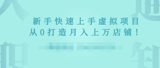 2022年虚拟项目实战指南，新手从0打造月入上万店铺|淘骐网赚资源库