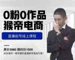 猴帝电商直播起号课,零粉零作品开播底层逻辑,直播五天打爆广场流量|淘骐网赚资源库