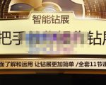 智能钻展手把手教你操作钻展,全方面了解和运用,让钻展更加简单|淘骐网赚资源库