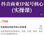 抖音商业IP起号核心实操课,带你玩转算法,流量,内容,架构,变现|淘骐网赚资源库
