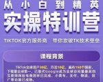 Seven漆·2022Tiktok从小白到精英实操特训营，带你掌握Tiktok账号运营|淘骐网赚资源库